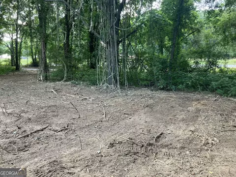 0 Durand Hwy, Warm Springs, GA 31830