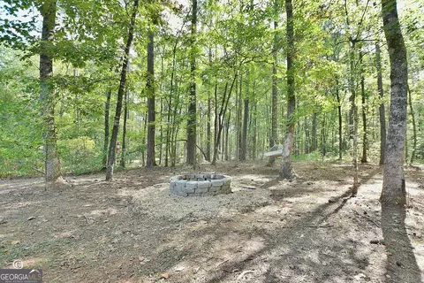 Exterior - 907 Big Sky Dr, Hamilton, GA 31811 photo 5 of 6