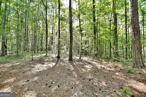 Exterior - 907 Big Sky Dr, Hamilton, GA 31811 photo 6 of 6