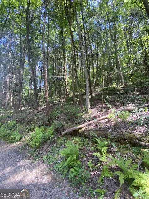 Hemlock Hemlock Trail, Blue Ridge, GA 30513