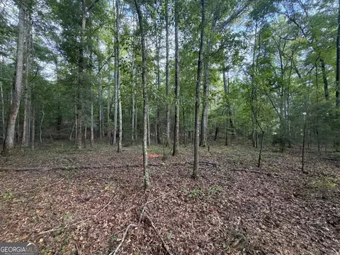 0 Oak Grove Rd, Pine Mountain, GA 31822 photo 32