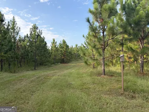 0 Oak Grove Rd, Pine Mountain, GA 31822 photo 5
