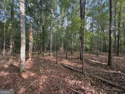 0 Oak Grove Rd, Pine Mountain, GA 31822 photo 31