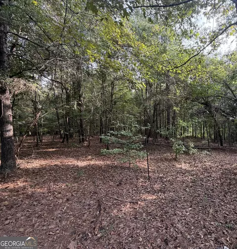 0 Oak Grove Rd, Pine Mountain, GA 31822 photo 37
