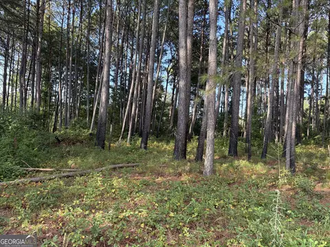 0 Oak Grove Rd, Pine Mountain, GA 31822 photo 33