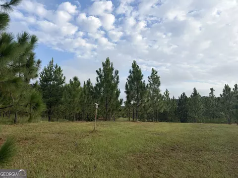 0 Oak Grove Rd, Pine Mountain, GA 31822 photo 7