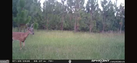 0 Oak Grove Rd, Pine Mountain, GA 31822 photo 26