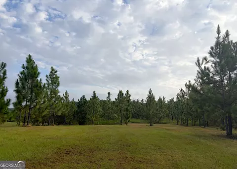 0 Oak Grove Rd, Pine Mountain, GA 31822 photo 8