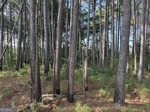 0 Oak Grove Rd, Pine Mountain, GA 31822 photo 34