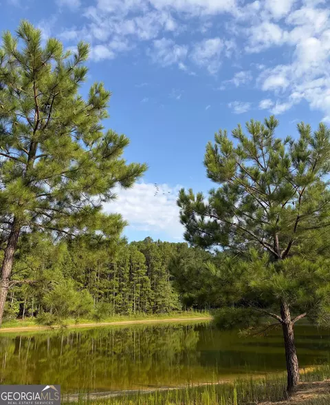 0 Oak Grove Rd, Pine Mountain, GA 31822 photo 20