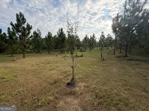 0 Oak Grove Rd, Pine Mountain, GA 31822 photo 12