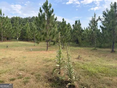 0 Oak Grove Rd, Pine Mountain, GA 31822 photo 13