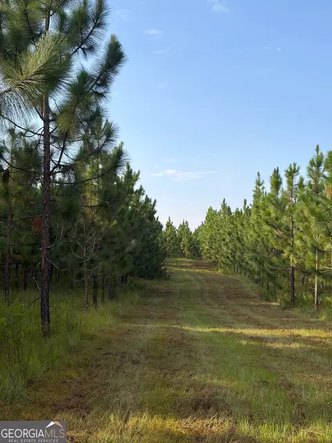 0 Oak Grove Rd, Pine Mountain, GA 31822 photo 38
