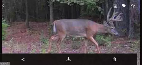 0 Oak Grove Rd, Pine Mountain, GA 31822 photo 25