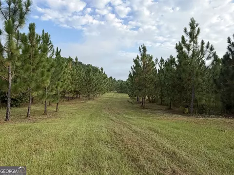 0 Oak Grove Rd, Pine Mountain, GA 31822 photo 10