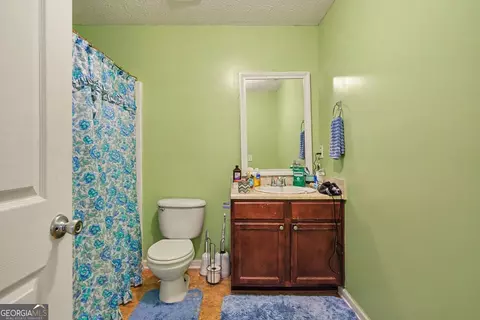 Bath - 266 Millstone Dr, Hampton, GA 30228 photo 3 of 4