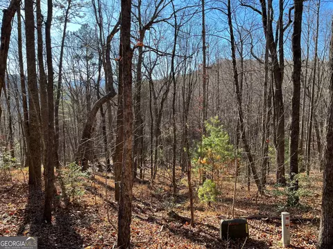 lot Apt 1 Forest Canopy Way, Clayton, GA 30525