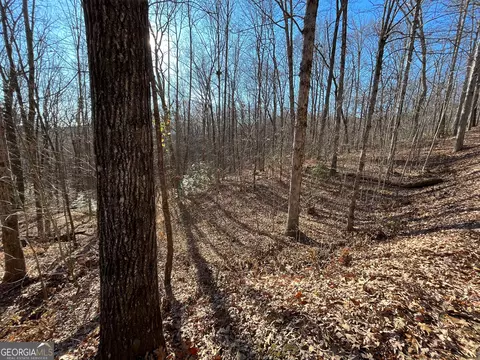 lot Apt 2 Forest Canopy Way, Clayton, GA 30525