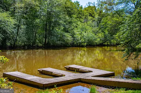 View/Area - 20 River Oak Ct, Temple, GA 30179 photo 6 of 22