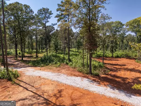 0 Hwy 100 #5 MACON LANE, Franklin, GA 30217 photo 23