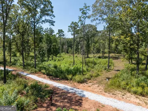 0 Hwy 100 #5 MACON LANE, Franklin, GA 30217 photo 9