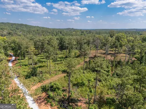 0 Hwy 100 #5 MACON LANE, Franklin, GA 30217 photo 4
