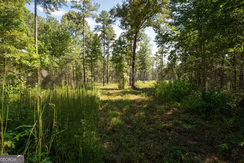 0 Hwy 100 #5 MACON LANE, Franklin, GA 30217 photo 13