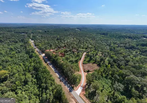 0 Hwy 100 #5 MACON LANE, Franklin, GA 30217 photo 31