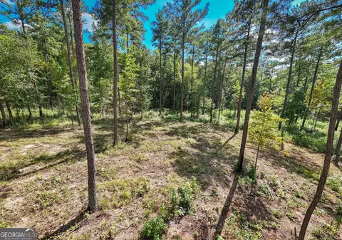 0 Hwy 100 #5 MACON LANE, Franklin, GA 30217 photo 16