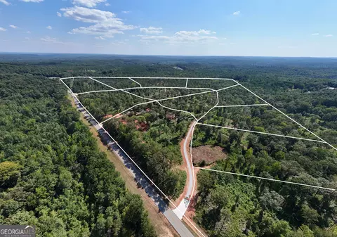 0 Hwy 100 #5 MACON LANE, Franklin, GA 30217 photo 33