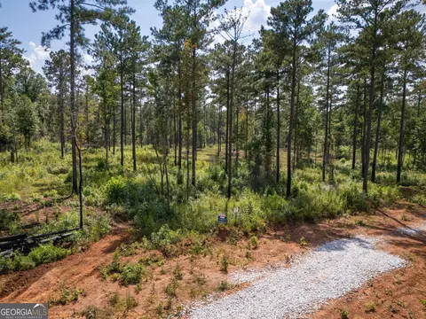 0 Hwy 100 #5 MACON LANE, Franklin, GA 30217 photo 21