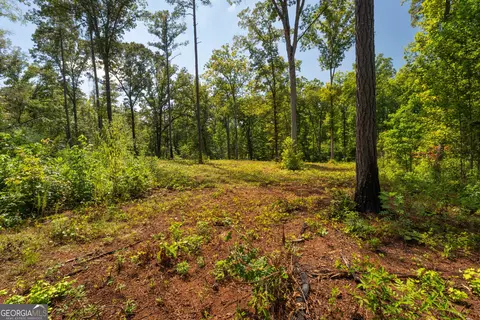 0 Hwy 100 #5 MACON LANE, Franklin, GA 30217 photo 20