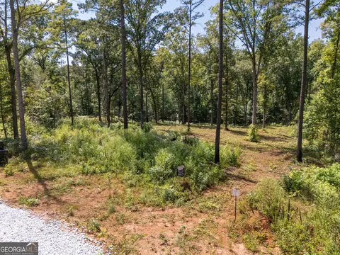 0 Hwy 100 #5 MACON LANE, Franklin, GA 30217 photo 8