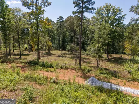 0 Hwy 100 #5 MACON LANE, Franklin, GA 30217 photo 14
