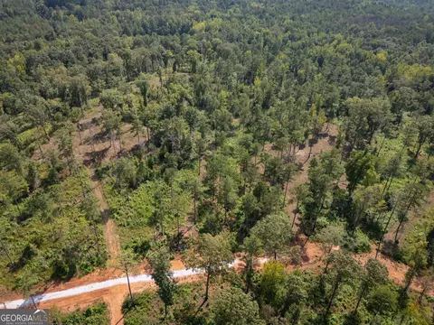 0 Hwy 100 #5 MACON LANE, Franklin, GA 30217 photo 32