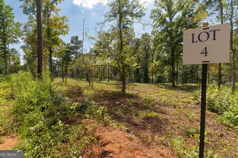 0 Hwy 100 #5 MACON LANE, Franklin, GA 30217 photo 19