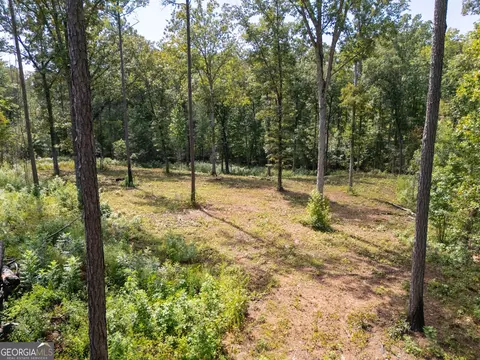 0 Hwy 100 #5 MACON LANE, Franklin, GA 30217 photo 17