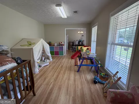Other - 438 W Oglethorpe Ave, Lyons, GA 30436 photo 5 of 10