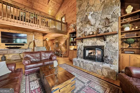 Living - 58 River Rd, Cherry Log, GA 30522 photo 3 of 6