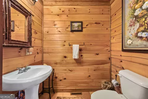 Bath - 58 River Rd, Cherry Log, GA 30522 photo 1 of 9