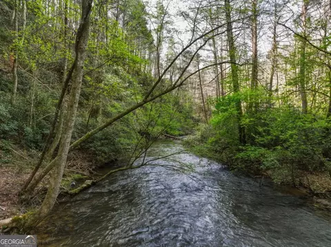 View/Area - 58 River Rd, Cherry Log, GA 30522 photo 3 of 5