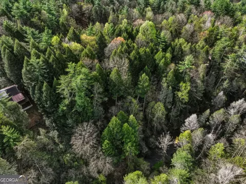 View/Area - 58 River Rd, Cherry Log, GA 30522 photo 5 of 5