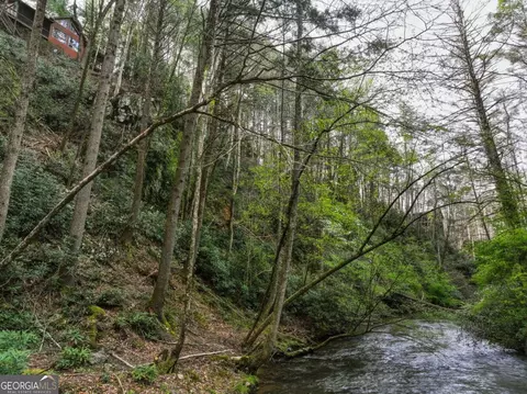 Other - 58 River Rd, Cherry Log, GA 30522 photo 3 of 14