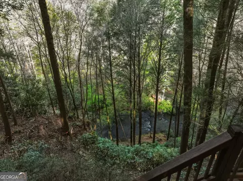 View/Area - 58 River Rd, Cherry Log, GA 30522 photo 2 of 5