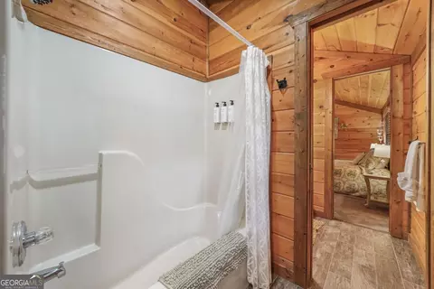 Bath - 58 River Rd, Cherry Log, GA 30522 photo 5 of 9