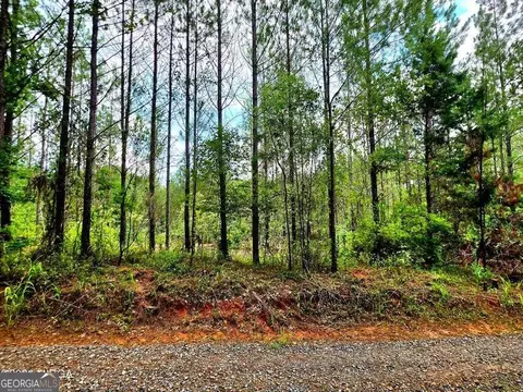 0 Highway 42 S, Forsyth, GA 31029 photo 6