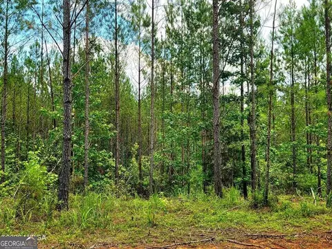 0 Highway 42 S, Forsyth, GA 31029 photo 4