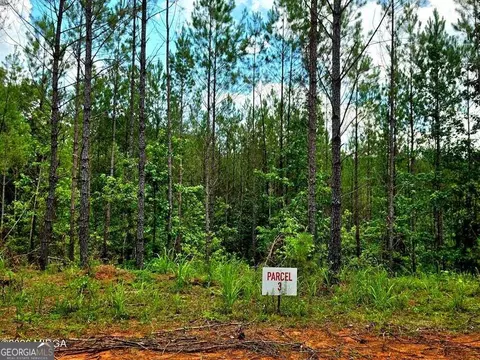 0 Highway 42 S, Forsyth, GA 31029 photo 3