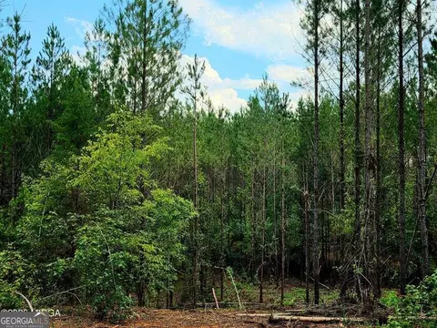 0 Highway 42 S, Forsyth, GA 31029 photo 10