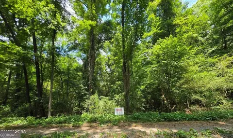 0 Highway 42 S, Forsyth, GA 31029 photo 8